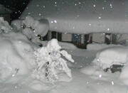 بارش زیبای برف پاییزی در آذربایجان‌ غربی | ویدئو