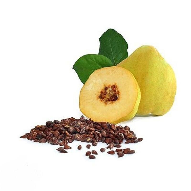 طرز تهیه دمنوش بهدانه و فواید آن برای سرفه و سرماخوردگی