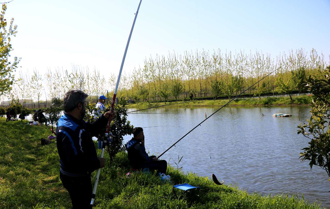 غوغای خال قرمزها در هراز | چطور جمعیت «خال قرمز» در هراز پایدار شد؟