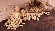 روزانه چقدر سویا بخوریم؟ این افراد باید احتیاط کنند