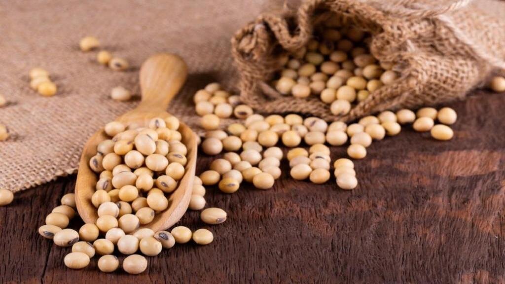 ۲۰ خاصیت شگفت انگیز این دانه پروتئینی؛ از کاهش وزن تا بهبود رنگ پوست