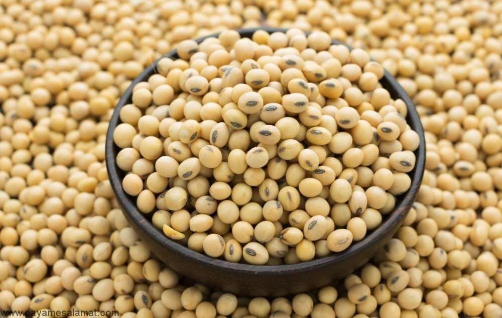 ۲۰ خاصیت شگفت انگیز این دانه پروتئینی؛ از کاهش وزن تا بهبود رنگ پوست