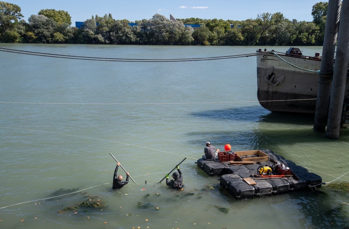 کشف گنج سکههای روم باستان در کف رودخانه + عکس