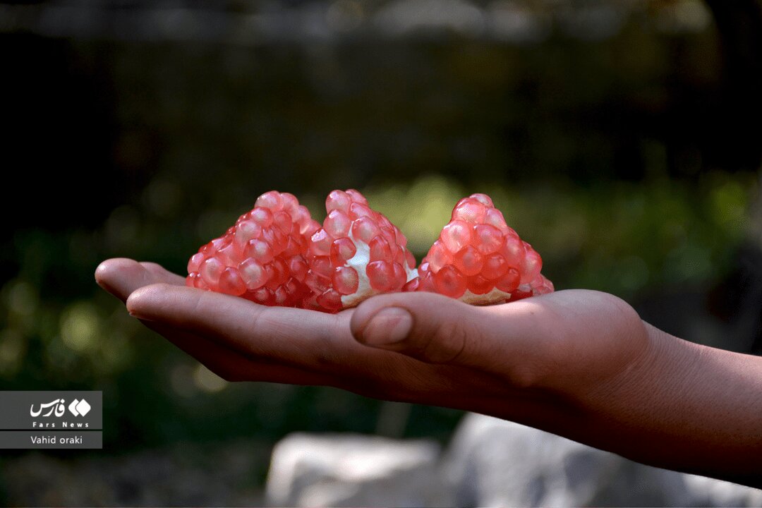 خواصی که روغن هسته انار را پرفروش کرده است