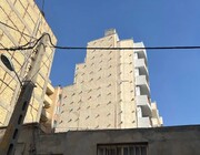 اهالی این خانه همسایه پرنده ها شدند + فیلم