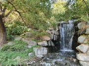 سفر از باغ گیاهشناسی به باغ پرندگان