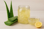 طرز تهیه کمپوت آلوورا و خواص آن