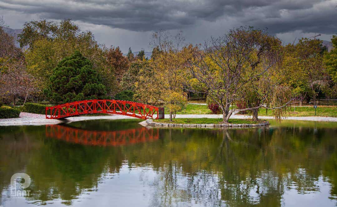 سفر از باغ گیاهشناسی به باغ پرندگان