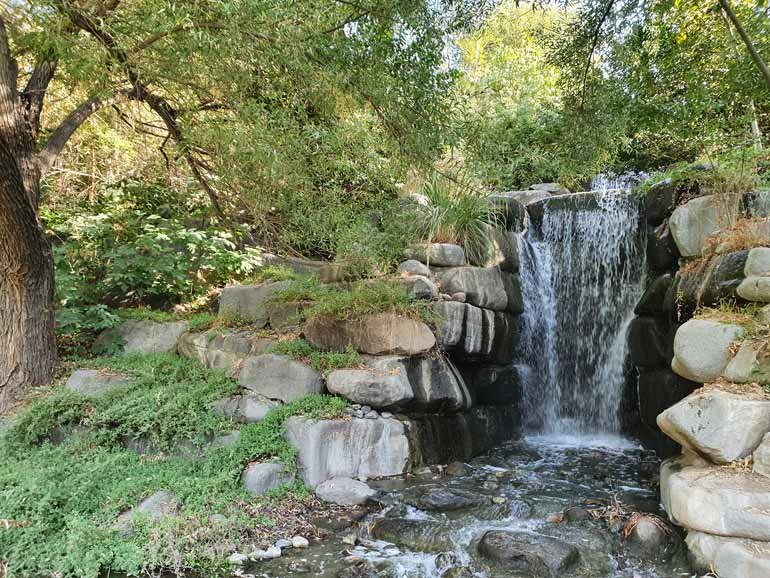 باغ گیاهشناسی