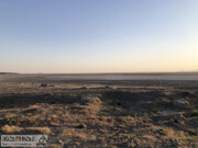 زندگی به دریاچه ارومیه بر می‌گردد