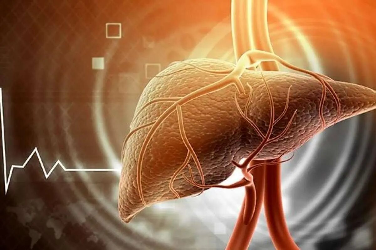 ماءالشعیر غیرالکلی ؛ مفید یا مضر برای کبد چرب ؟ | در نوشیدنیهای بدون الکل چه میزان الکل است؟