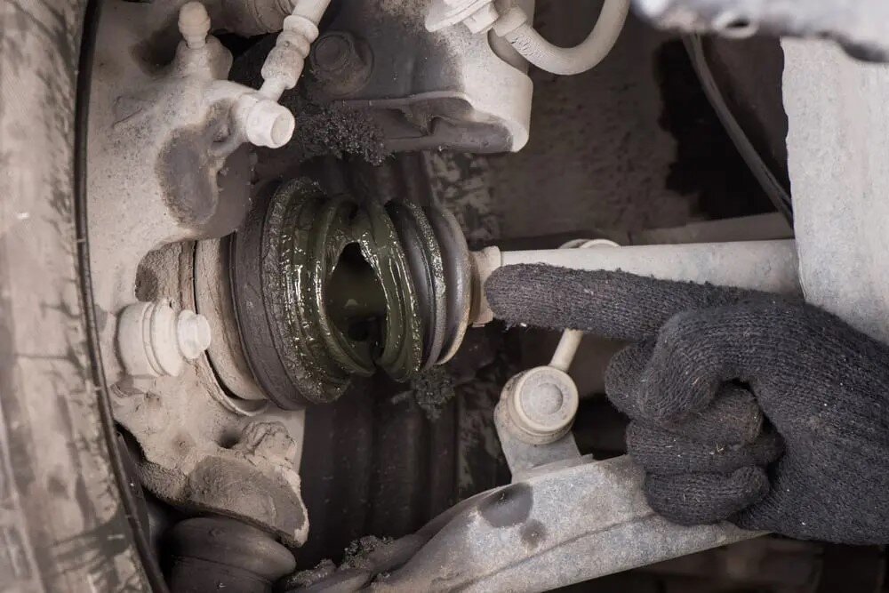 علائم پارگی گردگیر پلوس