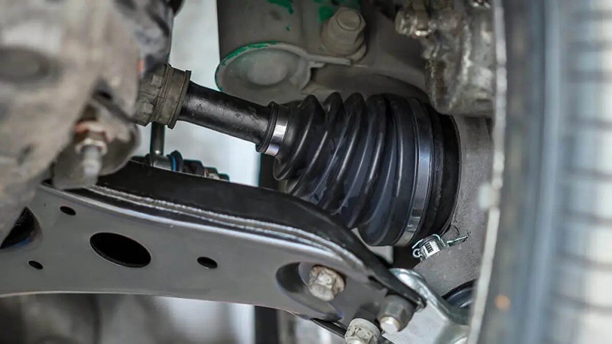 علائم پارگی گردگیر پلوس