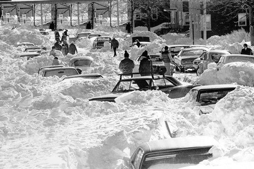 بلا نبینی تهران