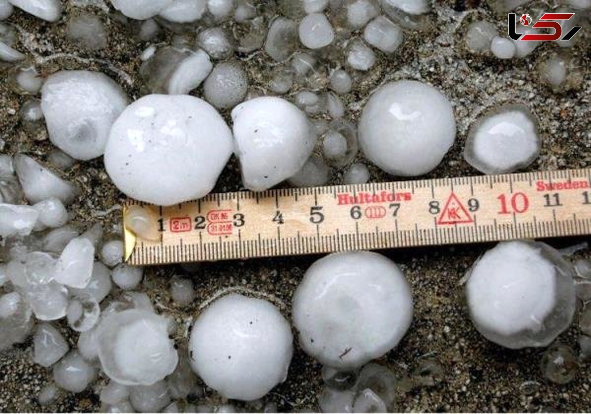 بلا نبینی تهران