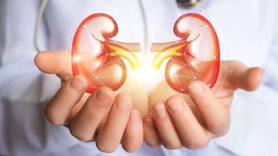 راهکارهایی برای کاهش آسیب بیماریهای کلیوی کلیه