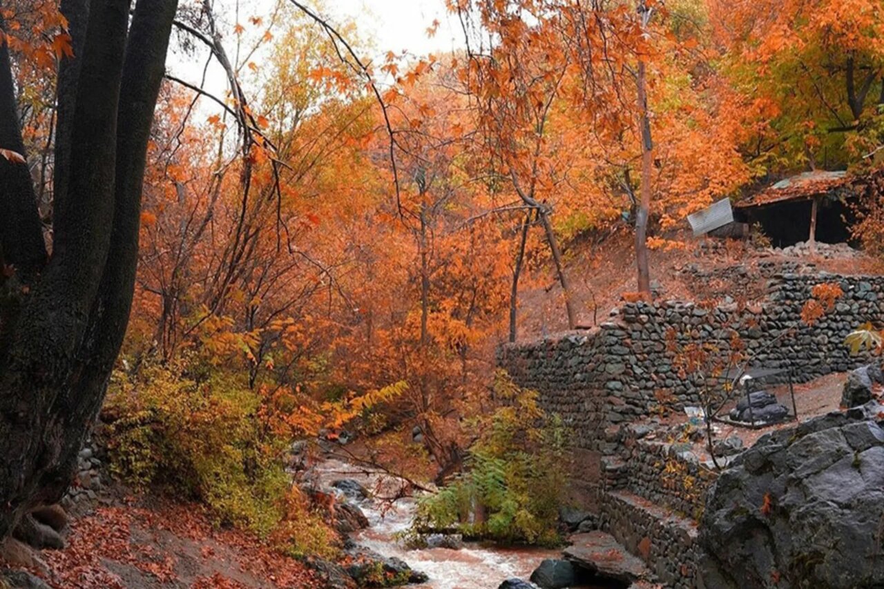 تصاویری جالب و تماشایی از پاییز درکه درکه