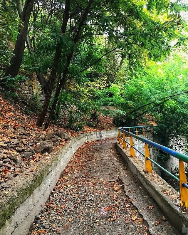 تصاویری جالب و تماشایی از پاییز درکه