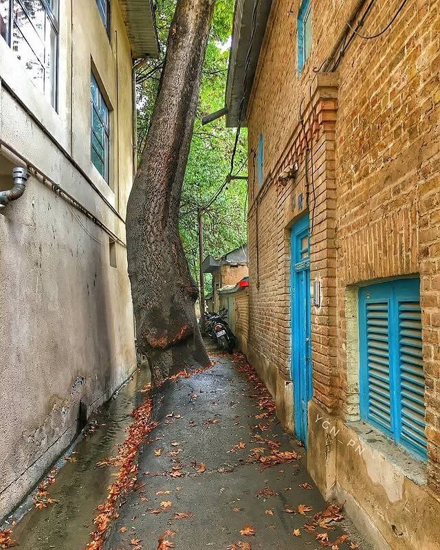 تصاویری جالب و تماشایی از پاییز درکه