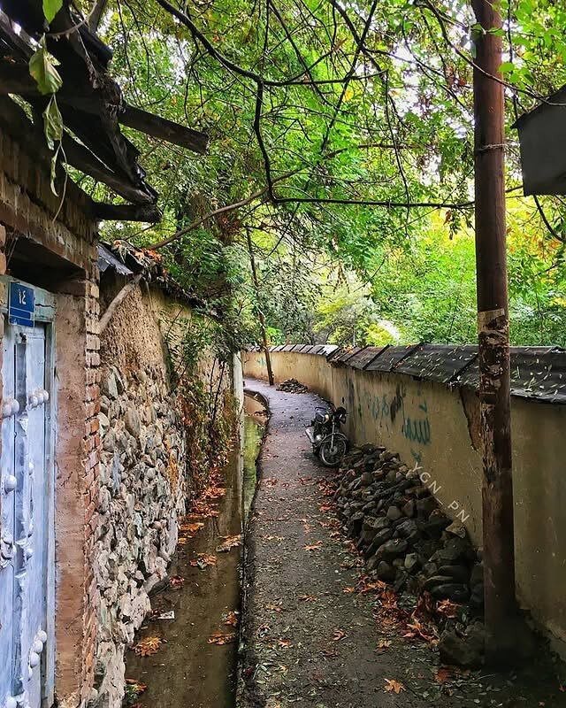 تصاویری جالب و تماشایی از پاییز درکه