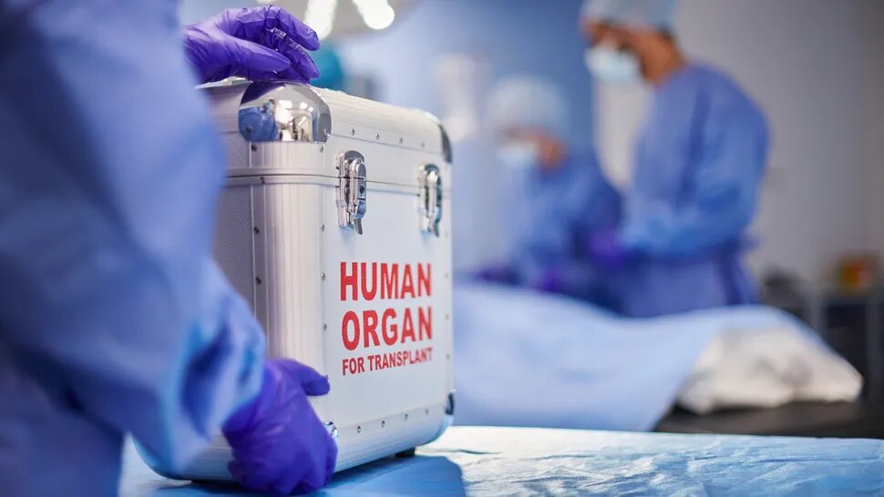 اتفاق عجیب در جراحی پیوند کلیه | دانشمندان گروه خونی کلیه را تغییر دادند transplant
