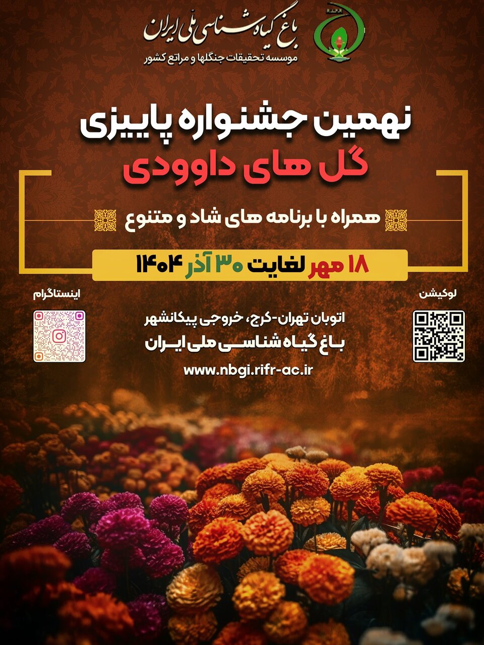 تهران میزبان گلهای داوودی شد