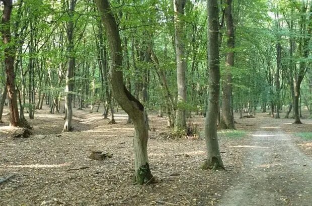 قانون جاذبه زمین در این مکانهای واقعی کار نمیکند!