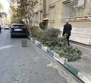 خیابان فروشی در روز روشن!