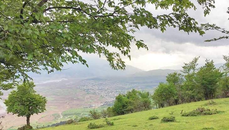 جنگل نقله بر؛ بکرترین و زیباترین جنگل گیلان برای سفر پاییزی