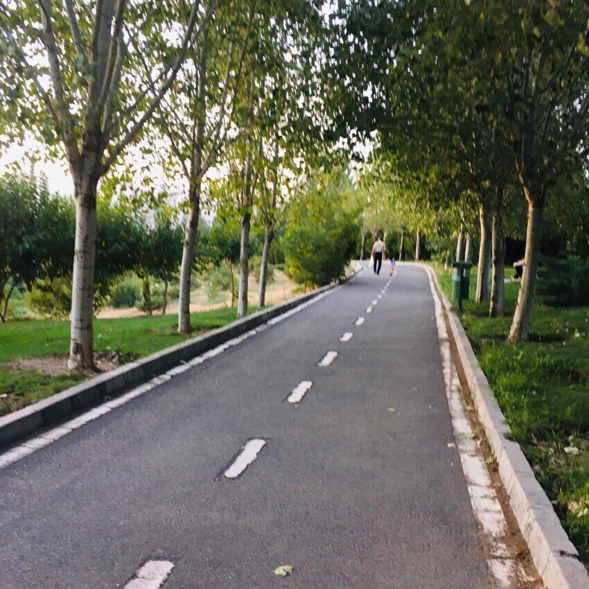 گردشگری با دوچرخه در دل طبیعت