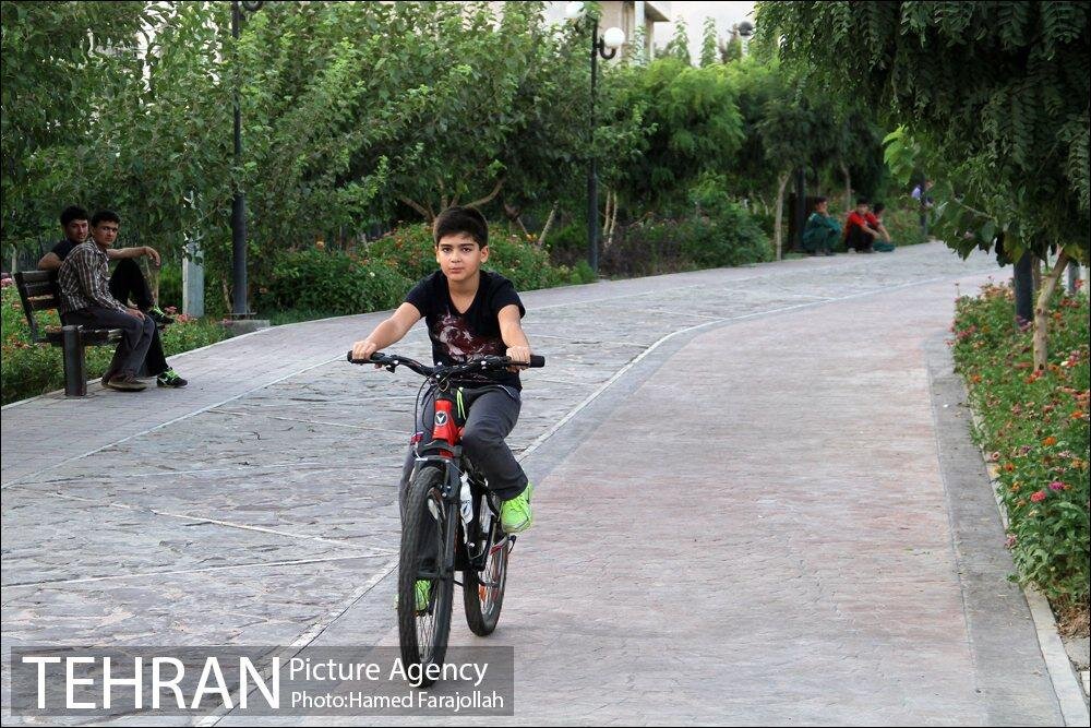 گردشگری با دوچرخه در دل طبیعت