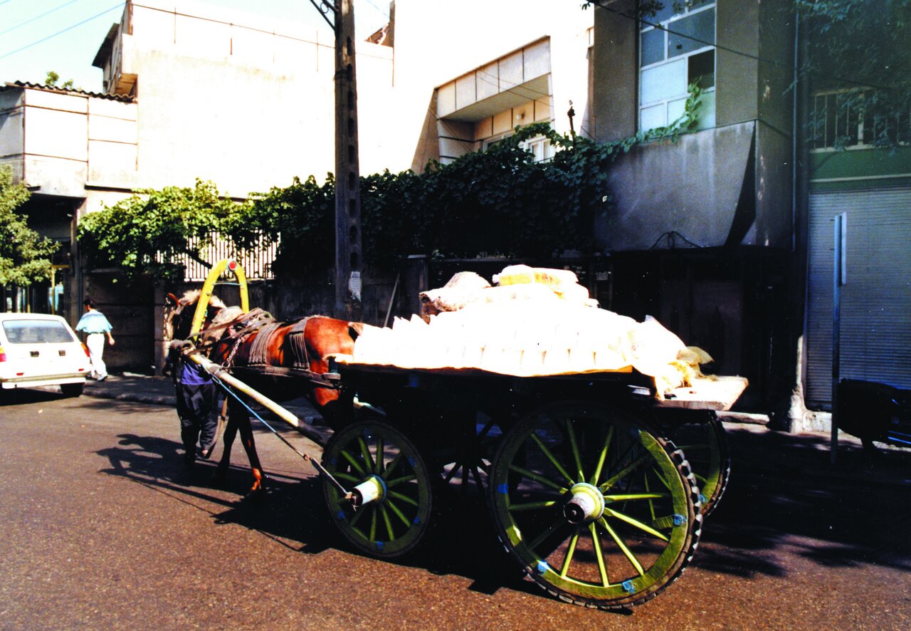 فیلم | شغل ترسناک تهران قدیم