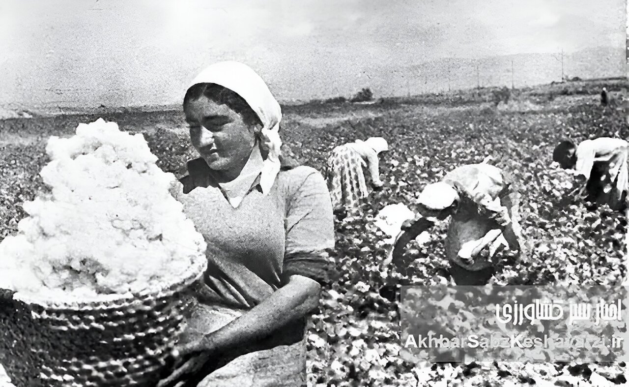 امیری که در سه سال، رهی صدساله رفت