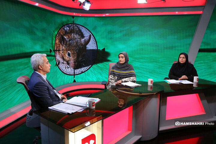 تهران به جنگ موش ها می رود