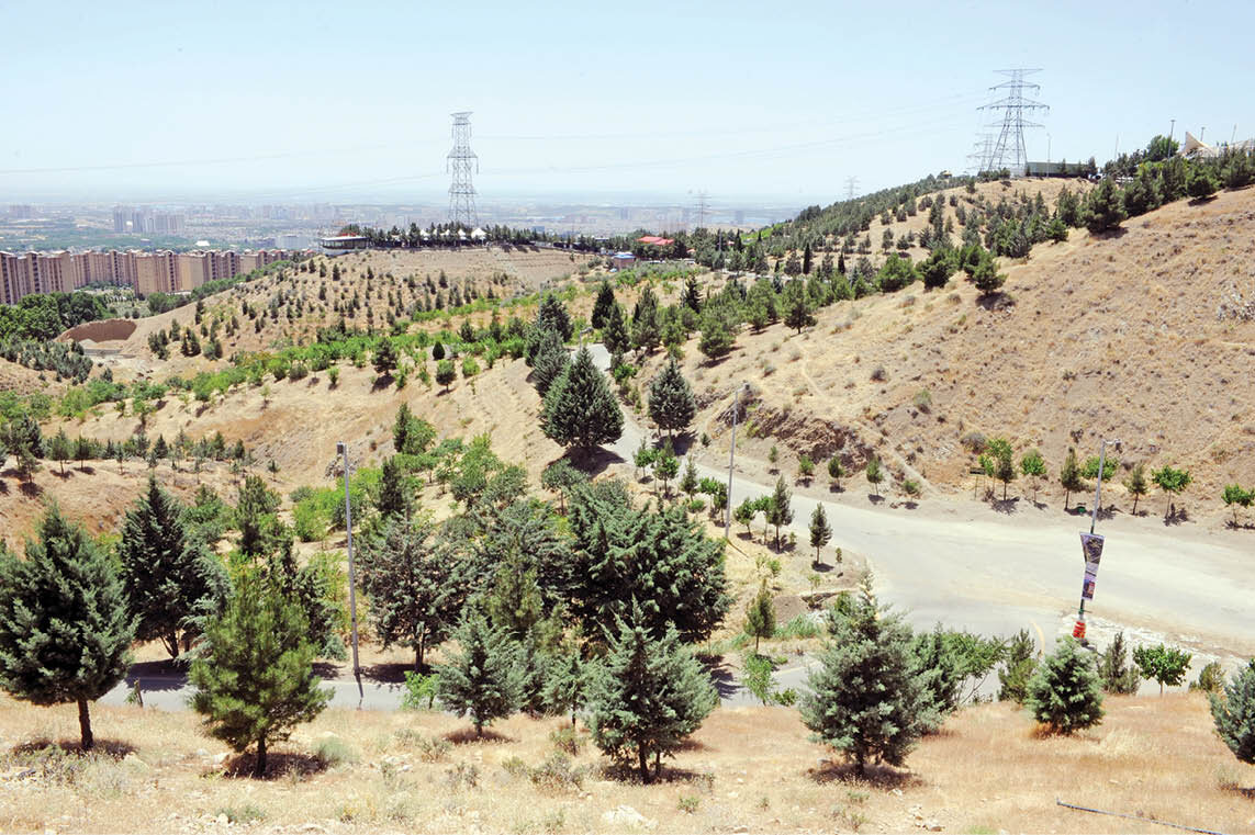 ورزش و پیادهروی در گذرهای تندرستی پایتخت