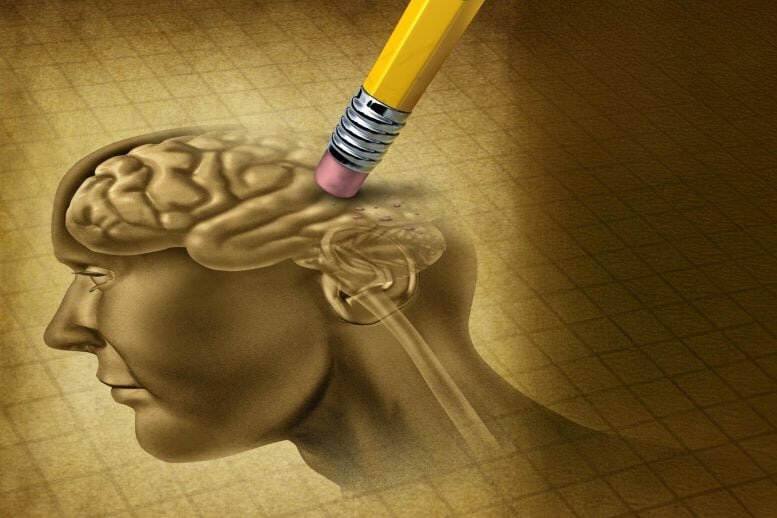 همهگیری مهذهنی؟ ؛ افزایش دو برابری مشکلات حافظه در بزرگسالان زیر ۴۰ سال