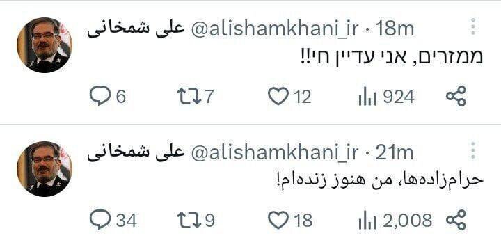 شمخانی به زبان عبری هم به حواشی فیلم عروسی دخترش واکنش نشان داد | ببینید