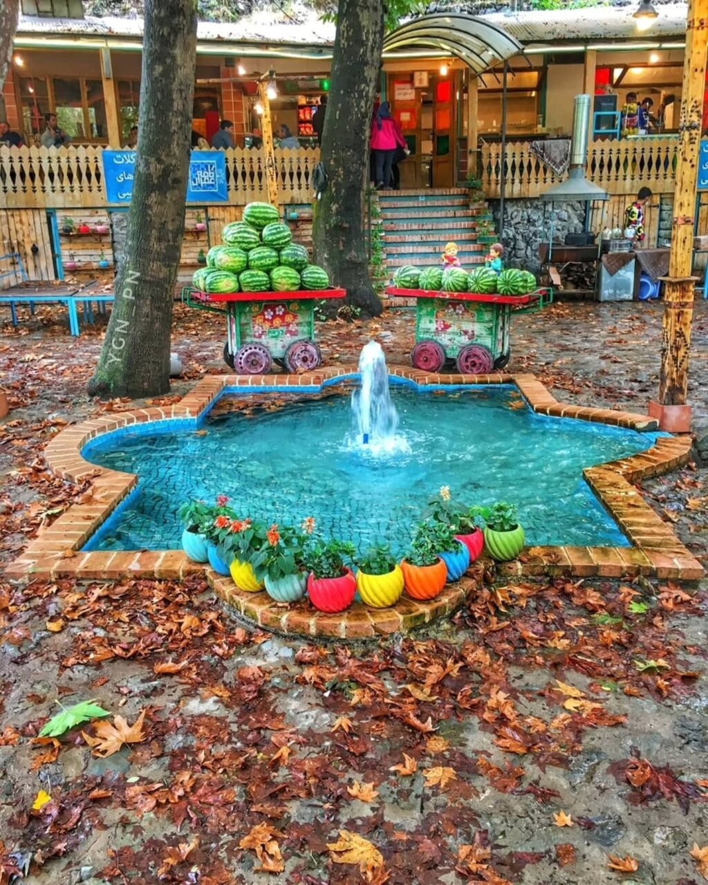 تصاویری خاص و زیبا از درکه تهران در پاییز هزاررنگ