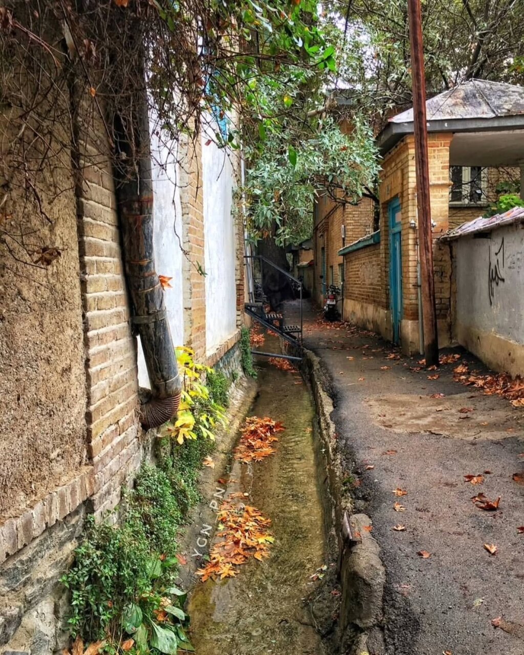 تصاویری خاص و زیبا از درکه تهران در پاییز هزاررنگ