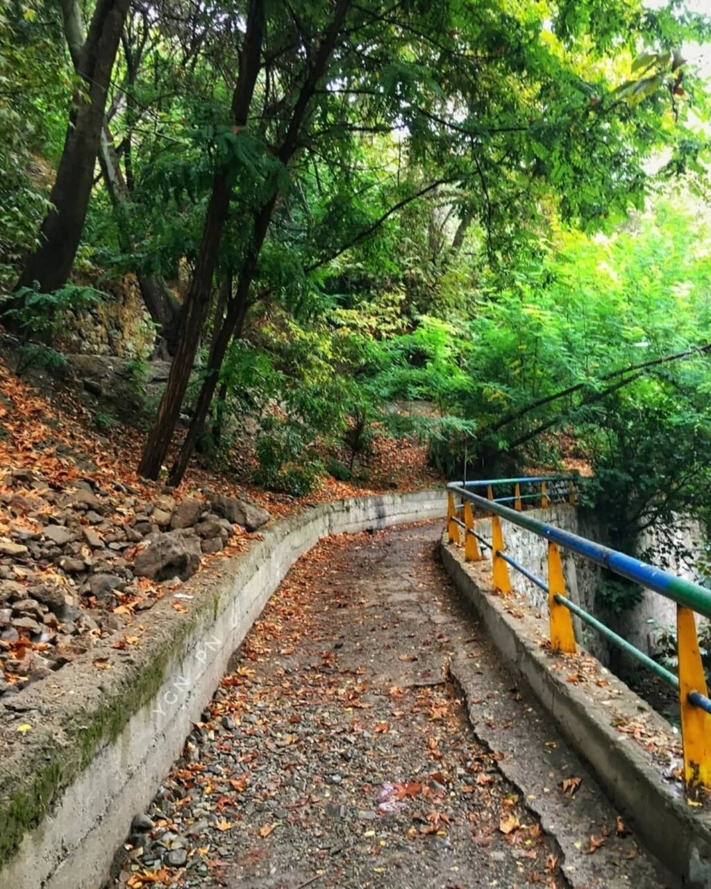 تصاویری خاص و زیبا از درکه تهران در پاییز هزاررنگ