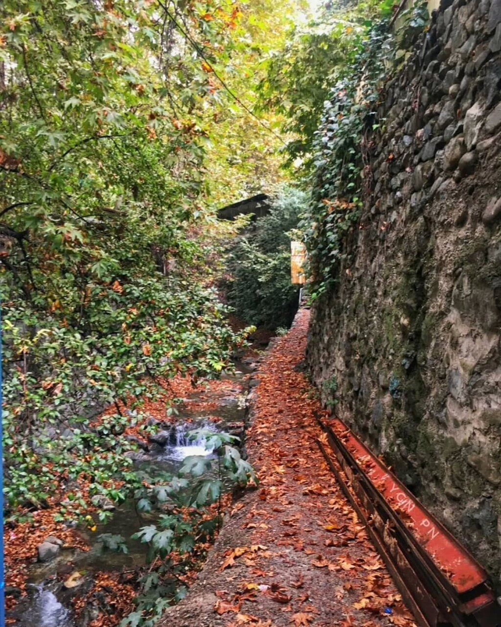 تصاویری خاص و زیبا از درکه تهران در پاییز هزاررنگ