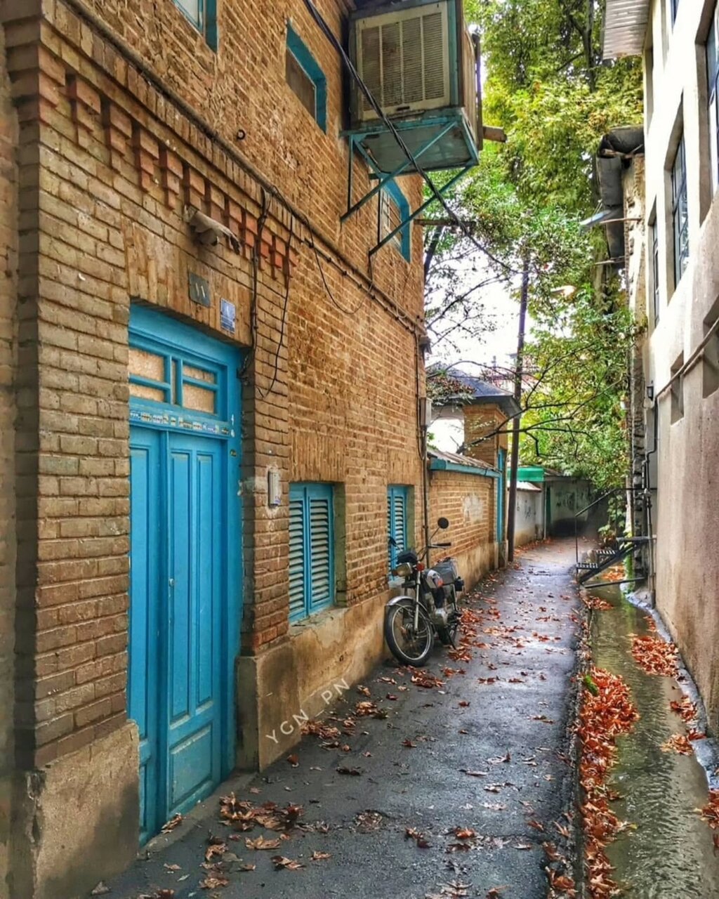 تصاویری خاص و زیبا از درکه تهران در پاییز هزاررنگ