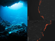 پدیده‌ای اسرارآمیز در سواحل آمریکا | راز یوفوهای شناور چیست؟