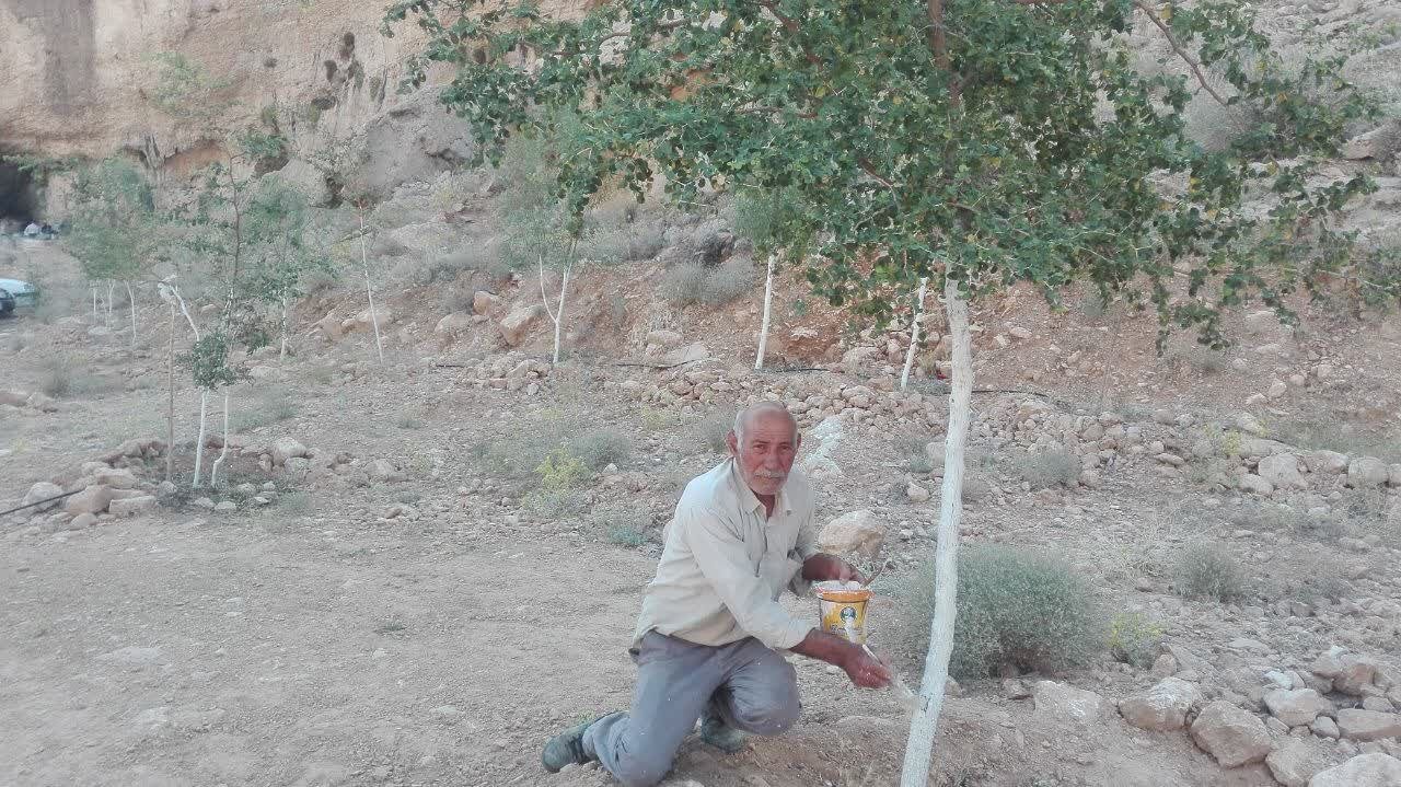 طبیعت دوست جهرمی