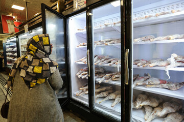 گوشت و برنج را گران نخرید