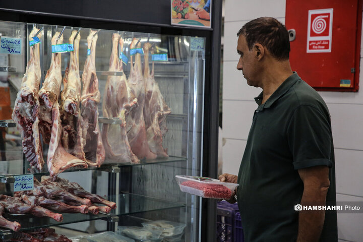 توزیع گوشت دولتی منجمد در میادین میوه و تره بار