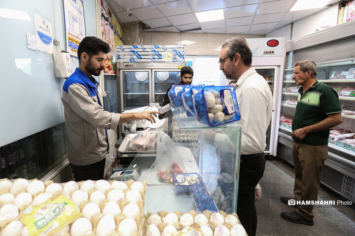 توزیع گوشت دولتی منجمد در میادین میوه و تره بار