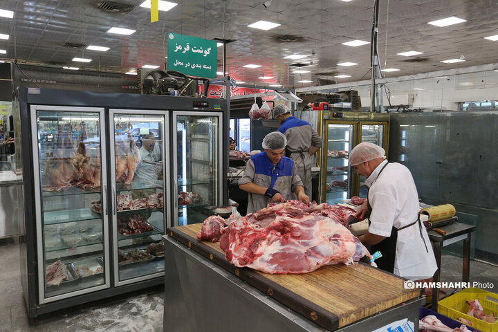 آماده‌باش گوشت قرمز برای کاهش قیمت | گوشت ارزان می شود؟