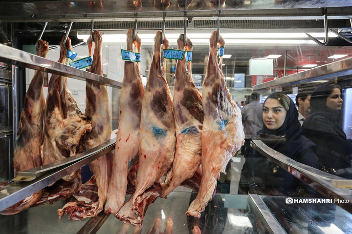توزیع گوشت دولتی منجمد در میادین میوه و تره بار
