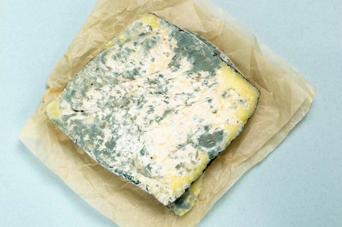 اگر غذای کپک زده بخوریم چه می‌شود؟ ؛ حتی یک لقمه!